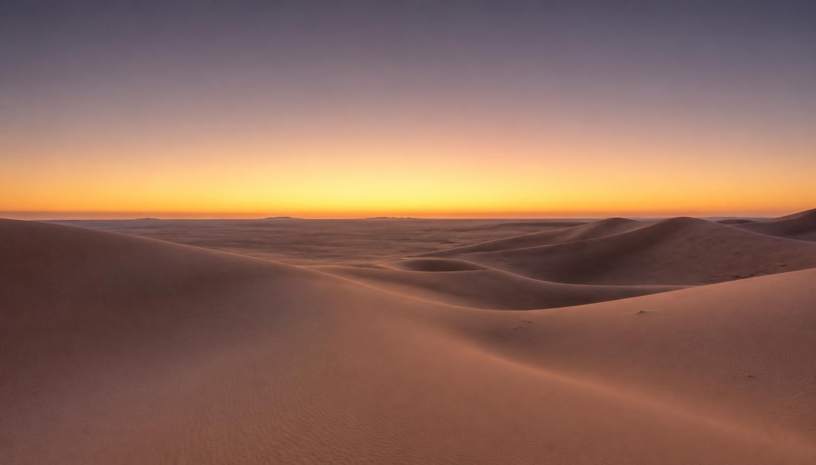 An open desert landscape at first light